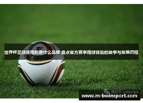 世界杯足球使用的是什么品牌 盘点官方赛事用球背后的故事与发展历程