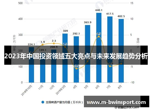 2023年中国投资领域五大亮点与未来发展趋势分析