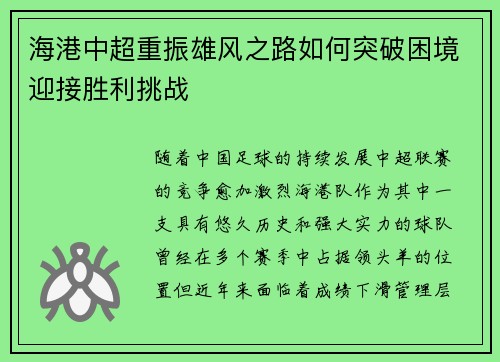 海港中超重振雄风之路如何突破困境迎接胜利挑战