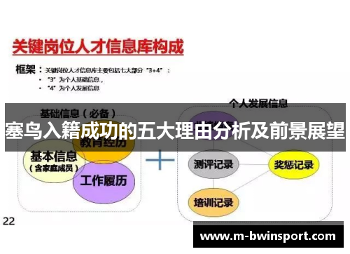 塞鸟入籍成功的五大理由分析及前景展望