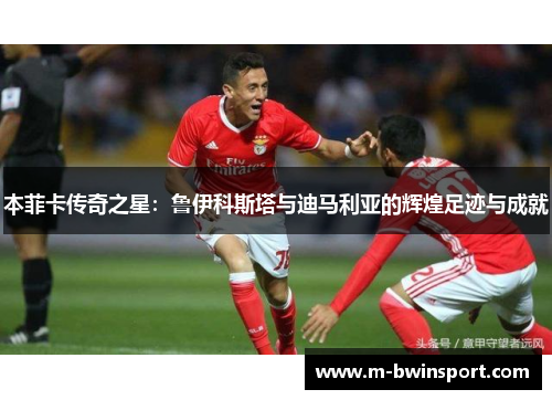 本菲卡传奇之星：鲁伊科斯塔与迪马利亚的辉煌足迹与成就